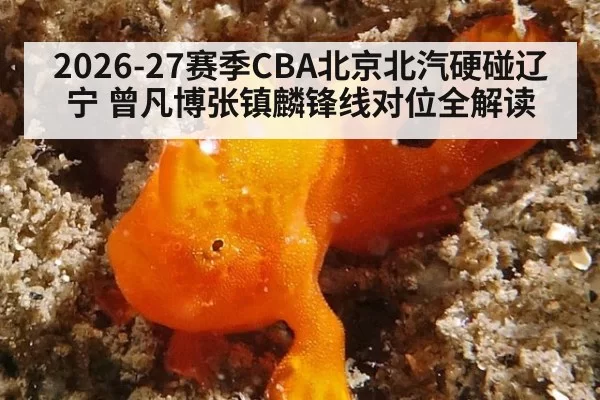 2026-27赛季CBA北京北汽硬碰辽宁 曾凡博张镇麟锋线对位全解读